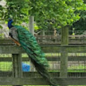 Meet your Posher, Marissa